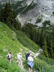 Group of hikers in a winding trail
