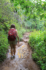 Kalalau trail with a lone hiker