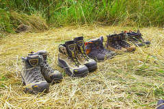 Different brands of hiking shoes lined on the ground